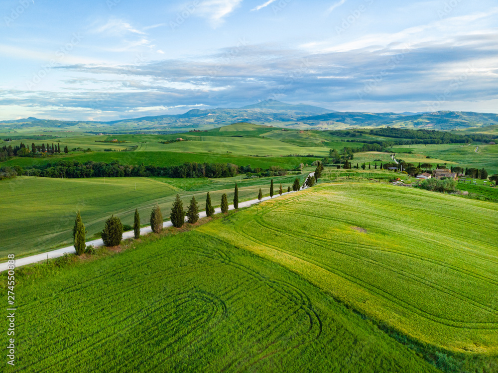 Typical landscape of the green Tuscany, Italy. Aerial view.