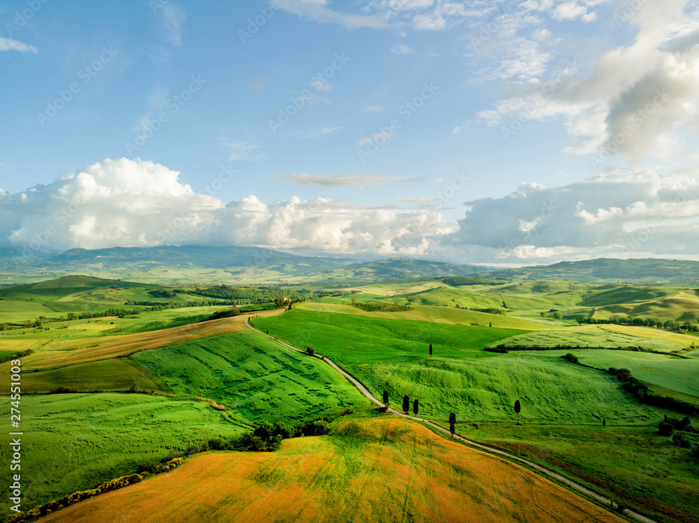 Typical landscape of the green Tuscany, Italy. Aerial view.