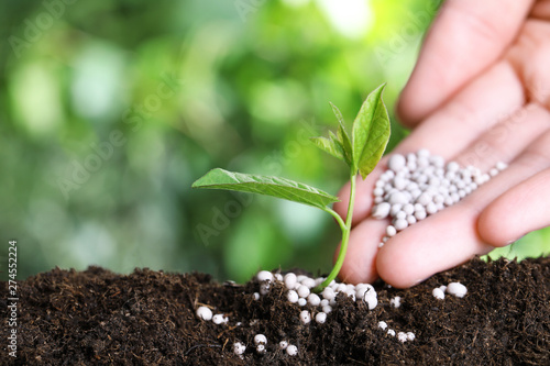 Woman fertilizing plant in soil against blurred background, closeup with space for text. Gardening time