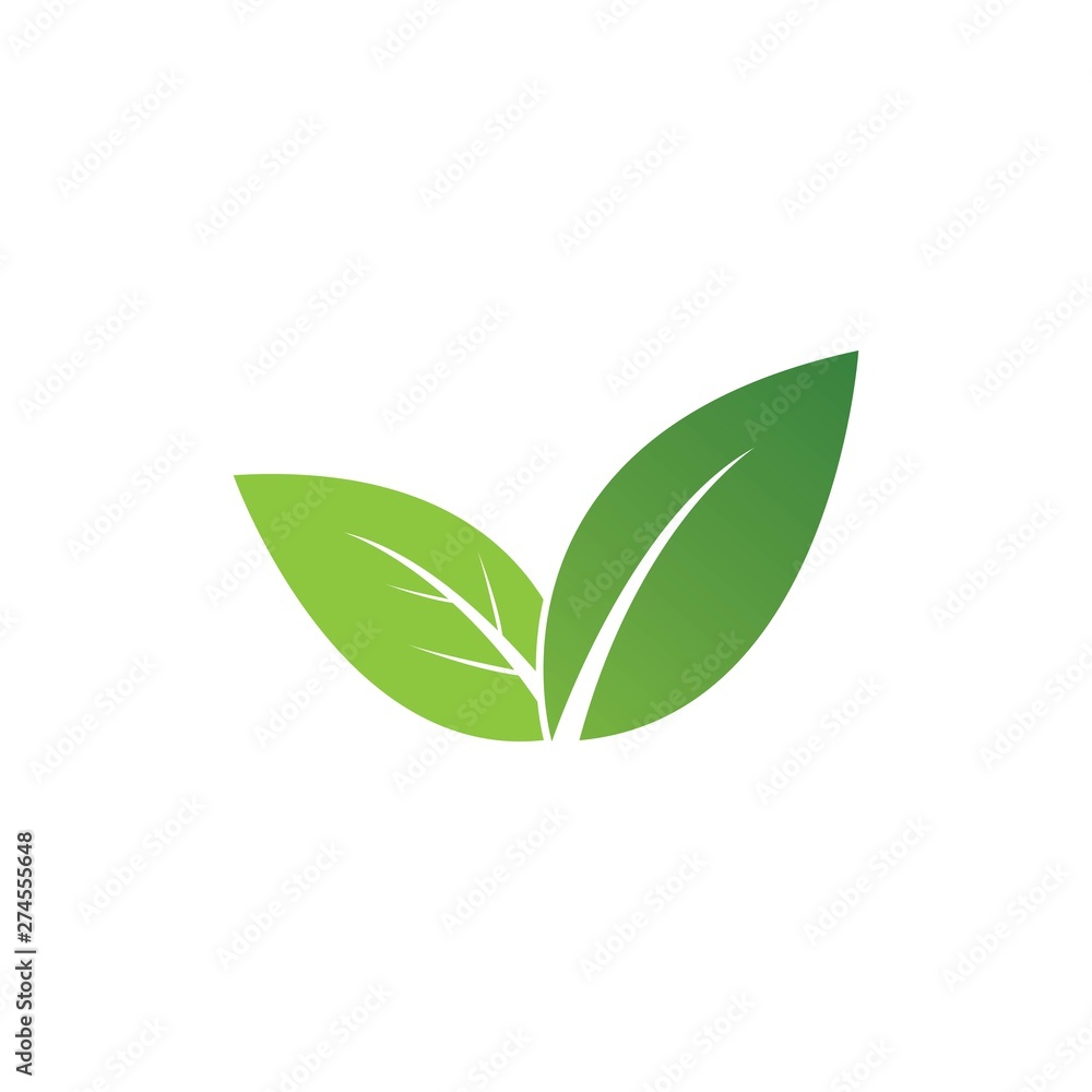 Logos of green leaf ecology nature element vector icon