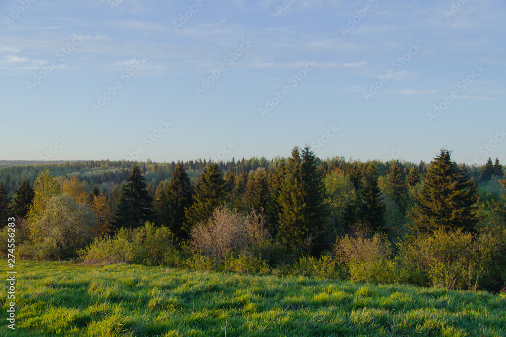 Landscape with trees and blue sky Landscape with trees and blue sky