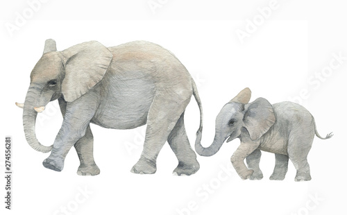 Hand drawn watercolor illustration with cute elephants. Baby and mother elephant isolated on the white background