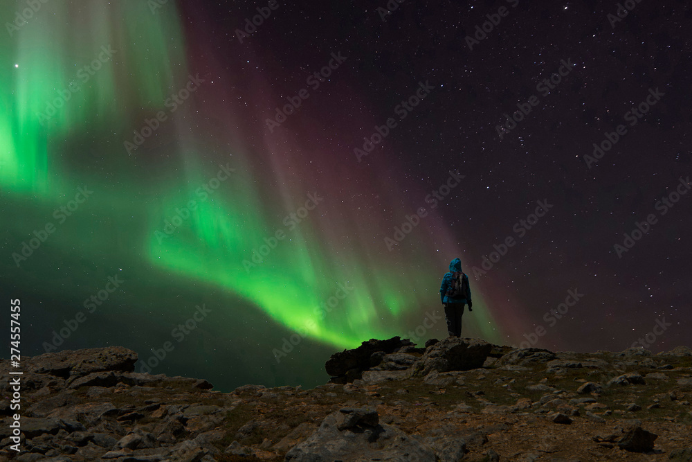 woman observing the northern lights from a cliff during the night woman observing the northern lights from a cliff during the night