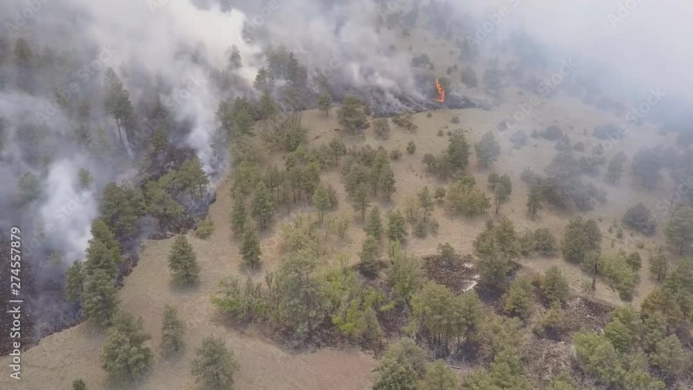 Aerial view of a smoky forest in southeastern North Carolina. Aerial view of a smoky forest in southeastern North Carolina.