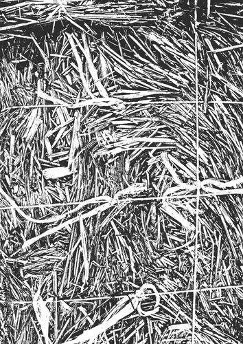 Distress old dry wooden texture. Black and white grunge background. Vector illustration