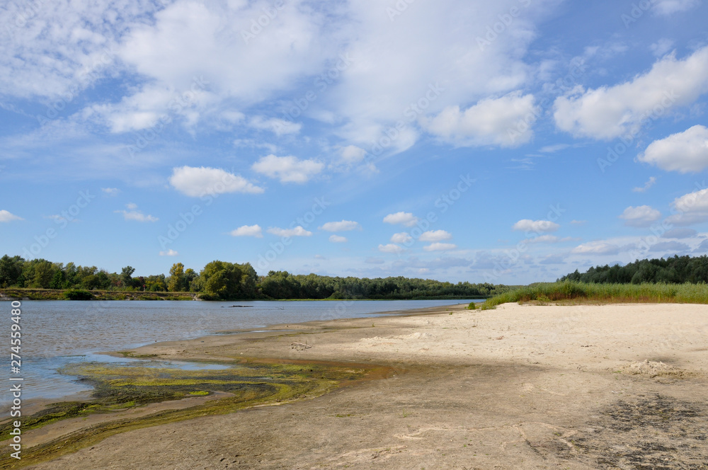 Wide blue river is slow flowing. Summer. Sunny weather and white sand. green trees far away Wide blue river is slow flowing. Summer. Sunny weather and white sand. green trees far away