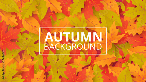 Autumn background with leaves. Can be used for poster, banner, flyer, invitation, website or greeting card. Vector illustration