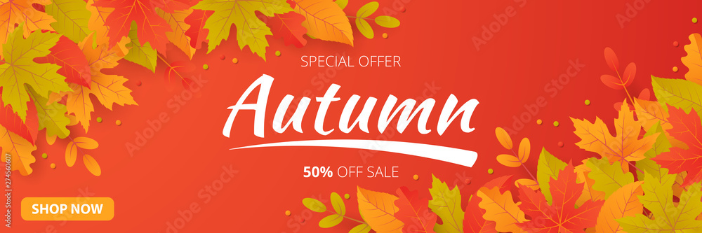Autumn sale background with leaves. Can be used for shopping sale, promo poster, banner, flyer, invitation, website or greeting card. Vector illustration