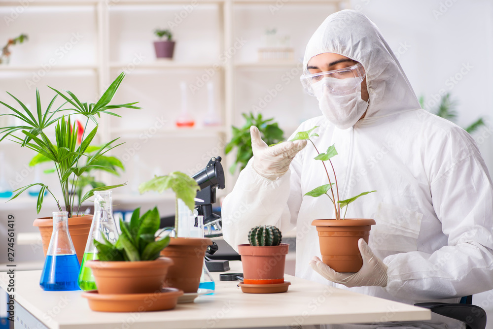 Biotechnology chemist working in lab Biotechnology chemist working in lab