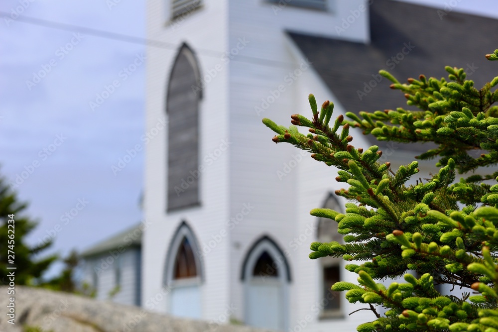 Pine branch with church in defocused back ground, no people.