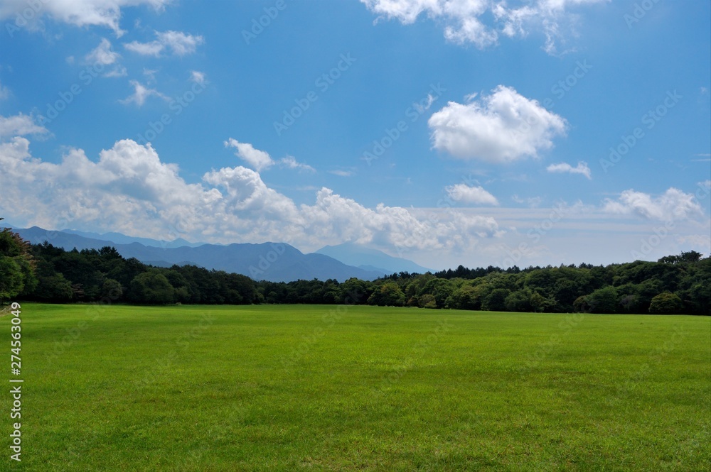 八ヶ岳山麓（清里高原)