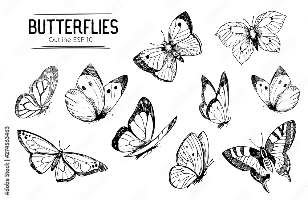 Set of butterflies outlines. Hand drawn illustration converted to vector Set of butterflies outlines. Hand drawn illustration converted to vector