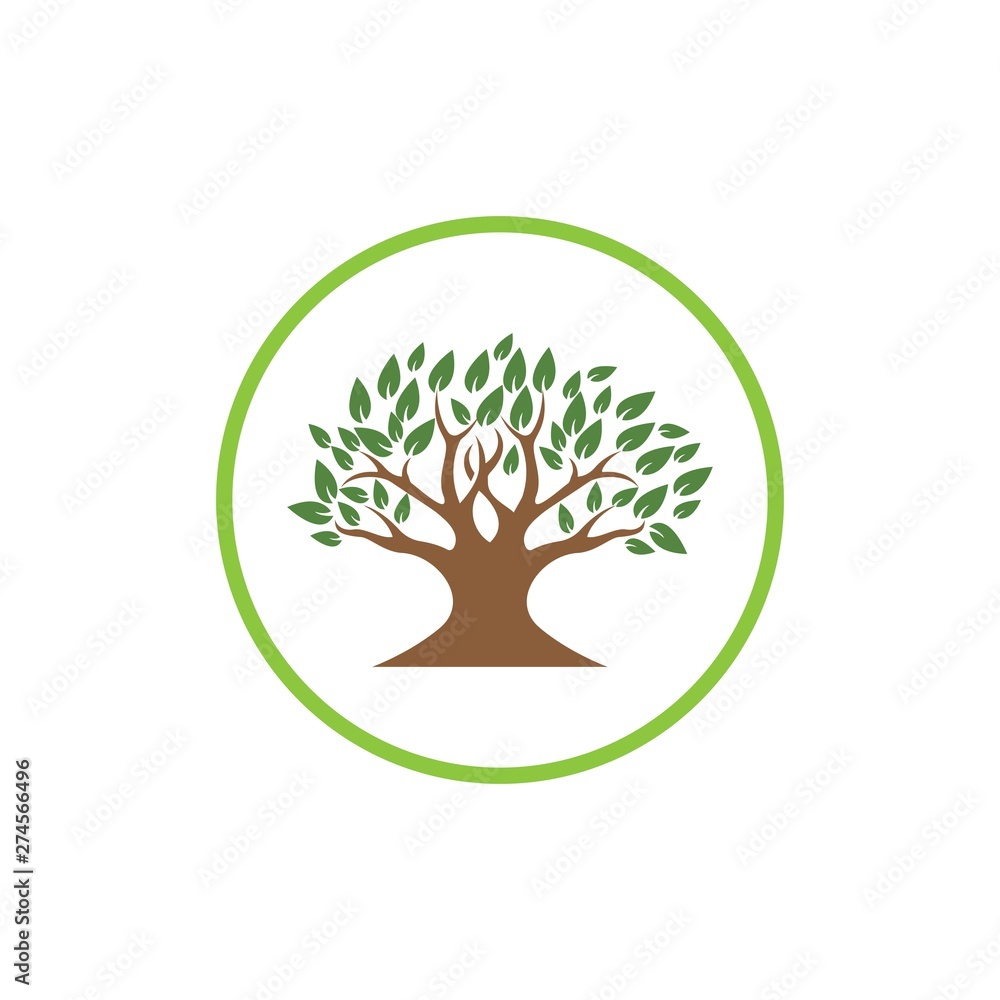 Obraz premium Tree logo template