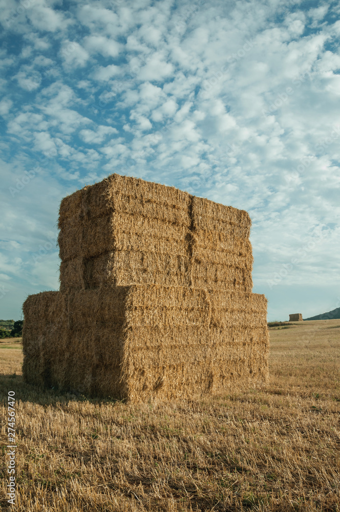 Hay bales piled up on field in a farm