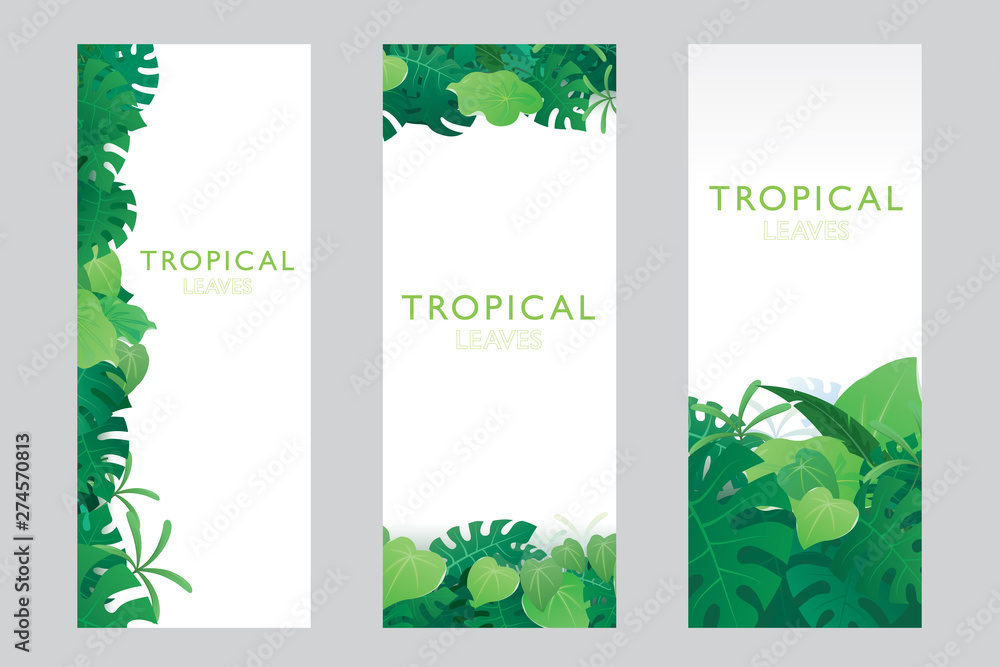 Template of tropical leaves banner design with space for text. Vector illustration