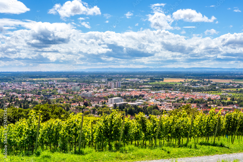 Blick über Bensheim und die Hessische Bergstraße 