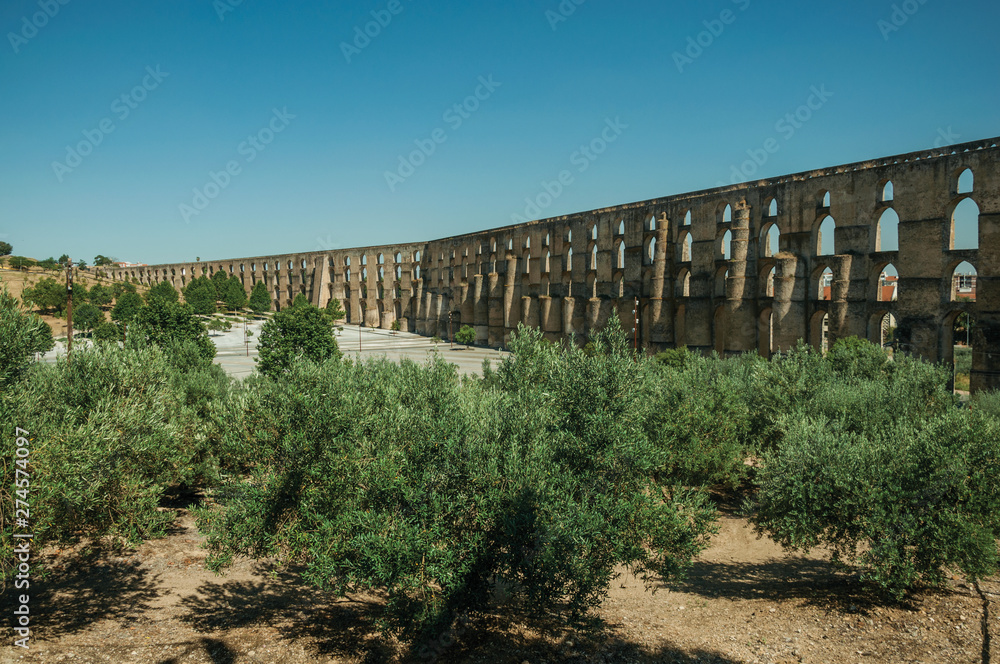 Olive trees in front of aqueduct with arches and rectangular pillars