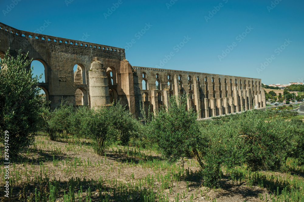 Olive trees in front aqueduct with arches near road to Elvas