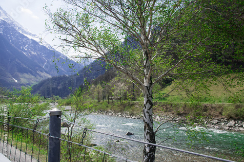 Big river in green summer forest.