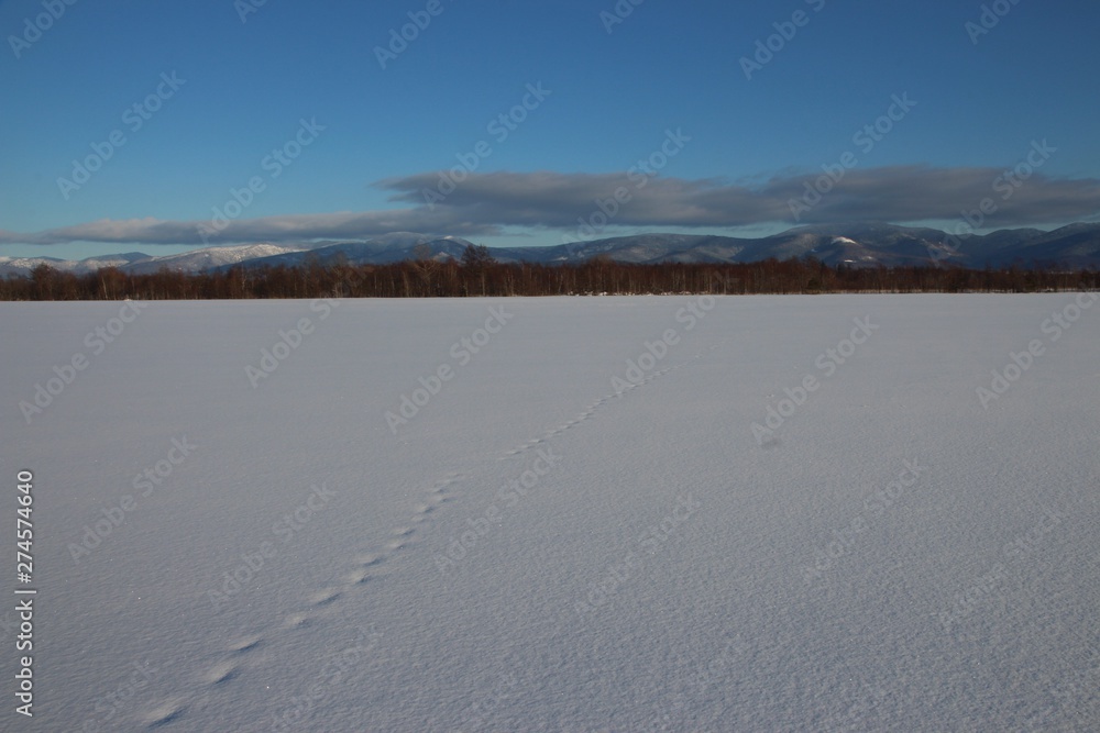 Snow-covered field and mountains in the distance
