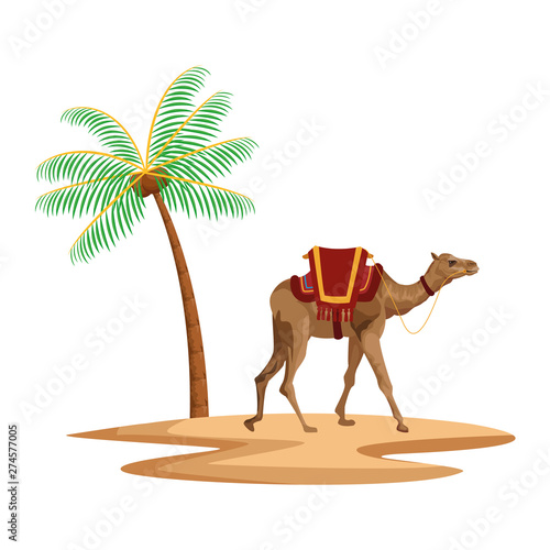 palm and camel icon cartoon