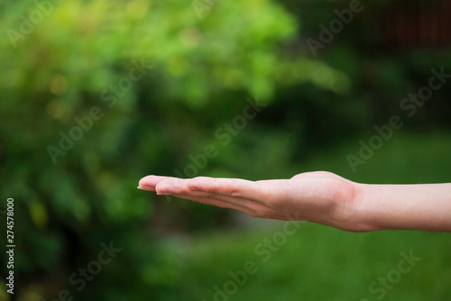 Man's  hand on green background © Kanjana
