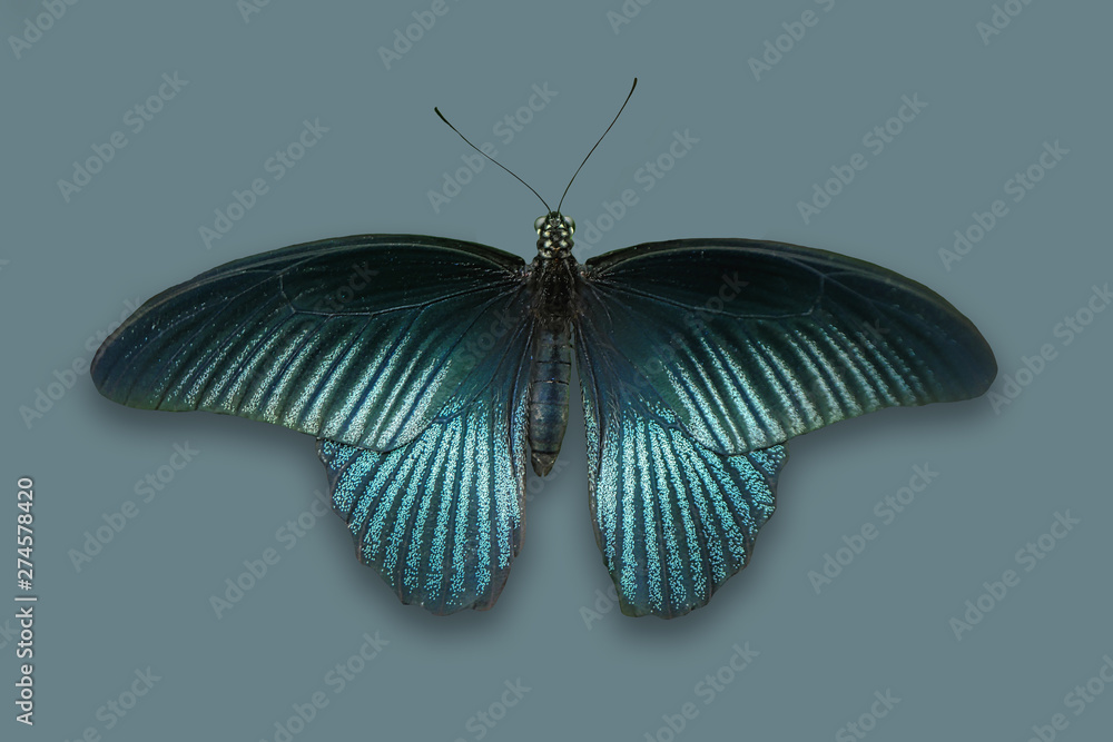 image to crop