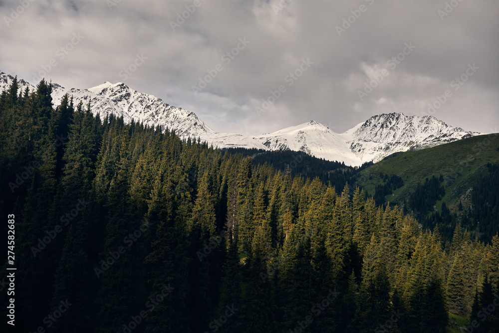 Obraz premium Beautiful landscape of mountains