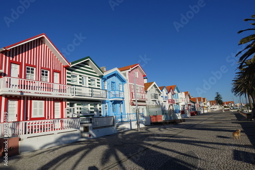 Aveiro Costa nova house landscape in Portugal
