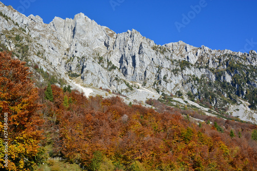 Foto The great show of autumn in the mountains
