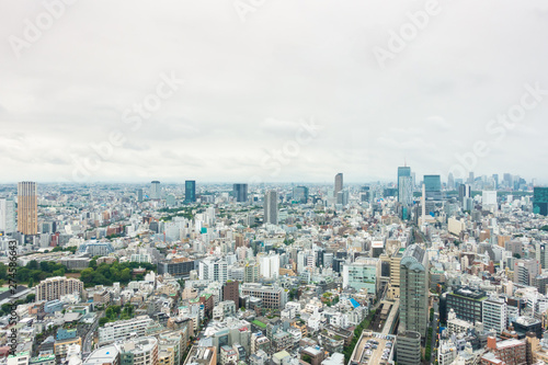 Cityscape of Tokyo, the most busiest city in Japan and Asia. © fannrei