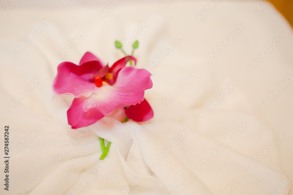 flower macro flower macro