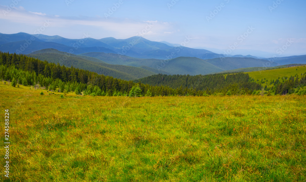green mountain valley panorama at the bright summer  day