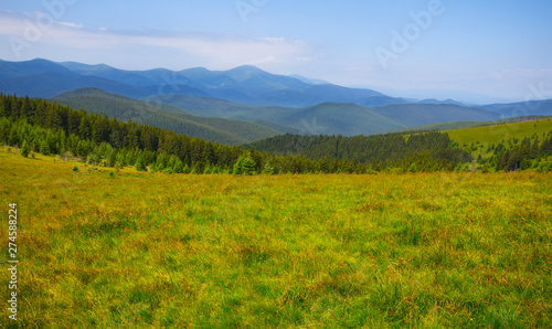 green mountain valley panorama at the bright summer day