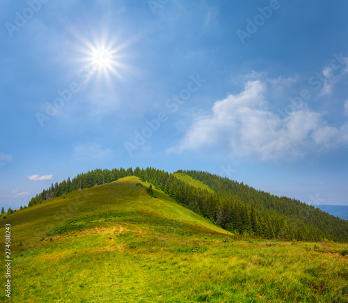 green mount top under a sparkle sun  summer natural background