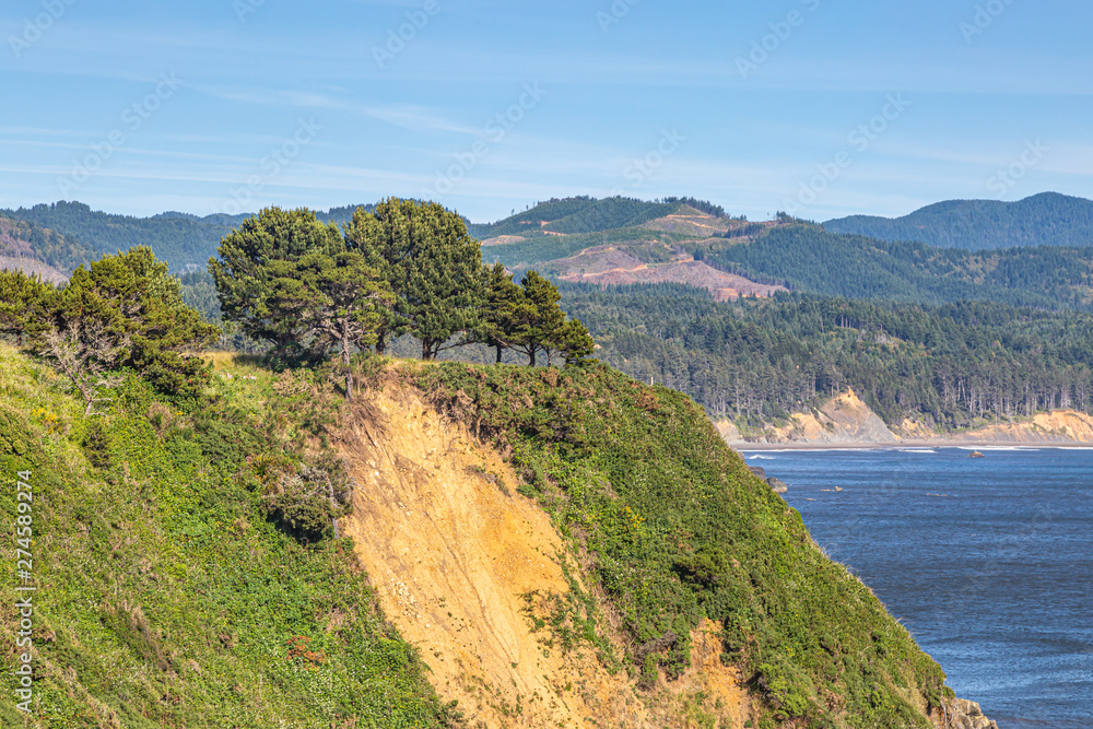 A view along the Oregon coast on a sunny summers day