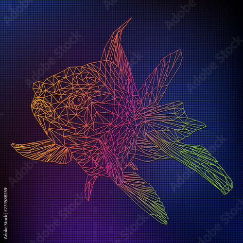 Illustration polygonal color line 3D of golden fish.