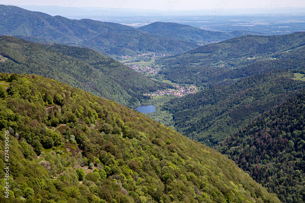 Fototapeta premium Blick vom Elsässer Belchen über das Sewener Tal