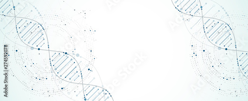 Science template, wallpaper or banner with a DNA molecules. Vector illustration.