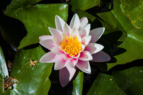 End of May at Botanical Garden in Porto