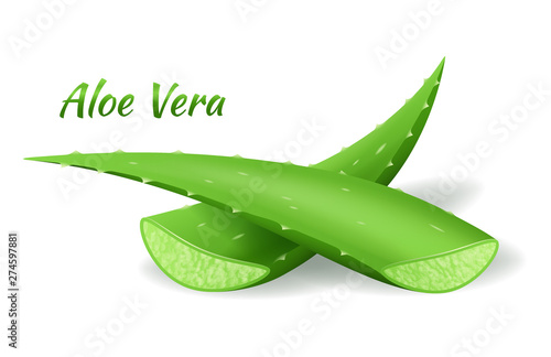 Aloe Vera cut leafs, realistic green plant, two aloe leaves or cut pieces isolated on white