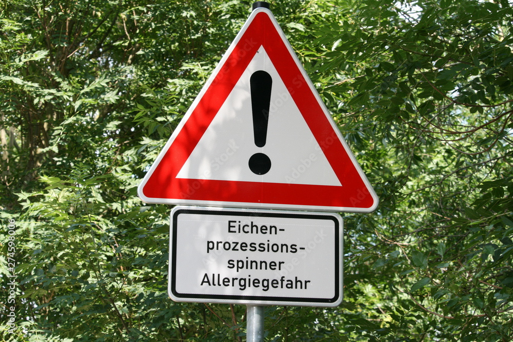 Allergie - Gefahr durch Eichenprozessionsspinner Allergie - Gefahr durch Eichenprozessionsspinner