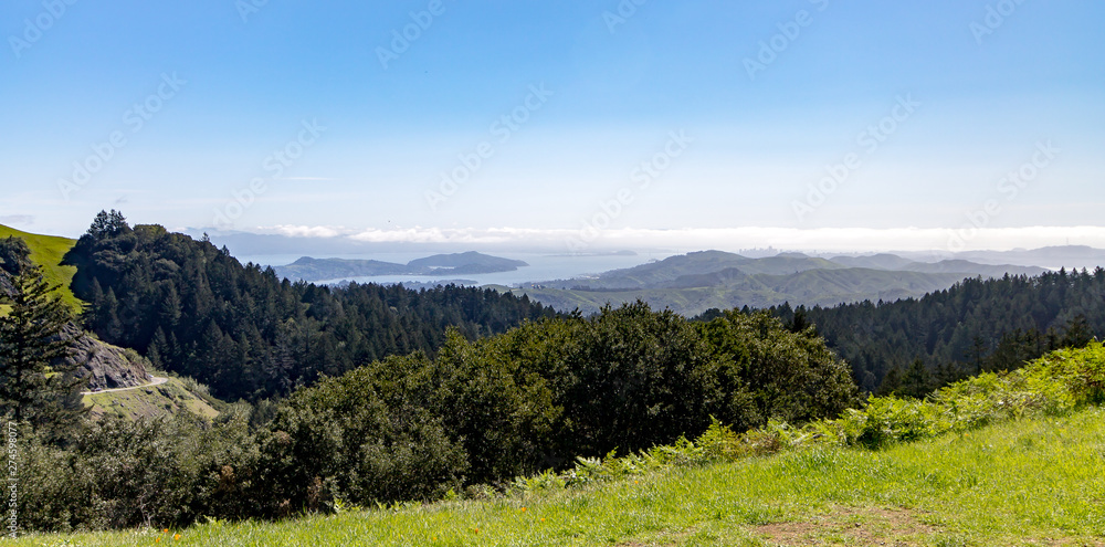 Fototapeta premium landscape