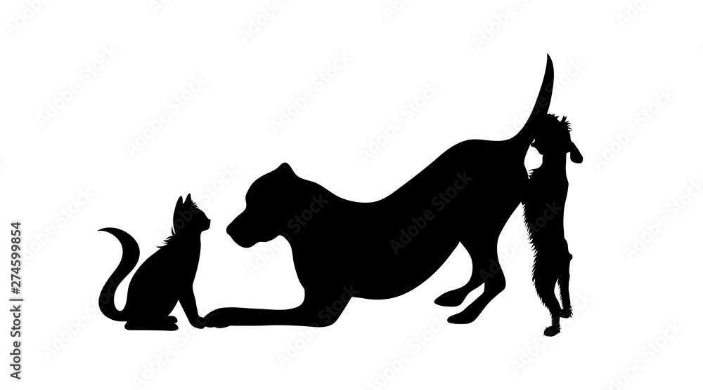 Vector silhouette of group of dogs with cat. Symbol of animal friends on  white background. Funny activities. Stock Vector | Adobe Stock