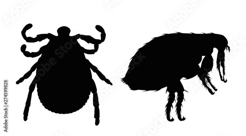 Vector silhouette of flea and tick on a white background. Symbol of parasites. photo
