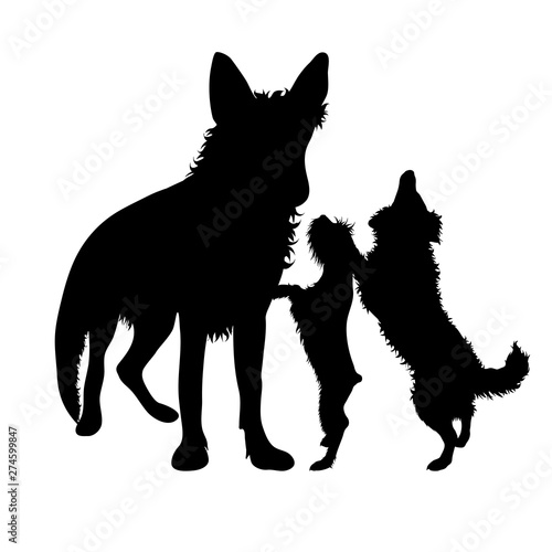 Vector silhouette of group of dogs. Symbol of animal friends on white background. Funny activities.