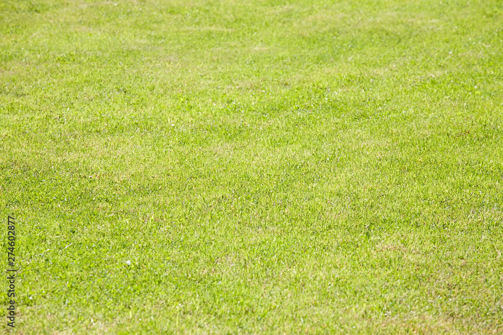 green grass lawn pattern texture green grass lawn pattern texture
