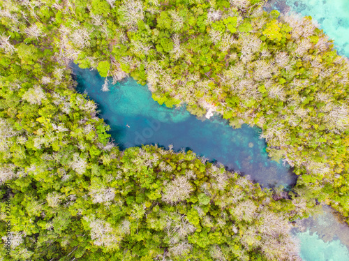 Aerial top down view tropical paradise pristine coast line rainforest blue lake at Bair Island. Indonesia Moluccas archipelago  Kei Islands  Banda Sea. Top travel destination  best diving snorkeling.