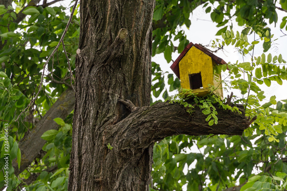 Small yellow bird house on a tree Small yellow bird house on a tree