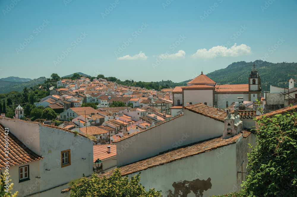 City landscape with old building roofs and church steeple